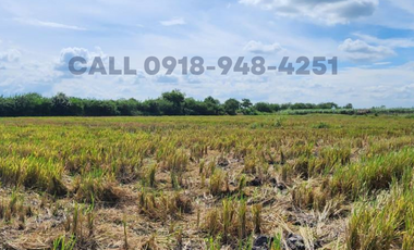 6,600sqm Sctex Tarlac City Agriculture Land near Cresendo Ayala