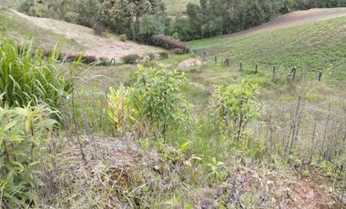 Hermosa finca en Venta OPORTUNIDAD