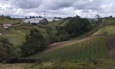 Hermosa finca en Venta OPORTUNIDAD