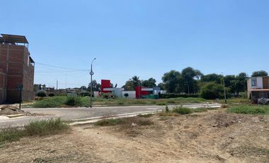 EXCELENTE TERRENO EN VENTA– URB. LAS PALMERAS DE CENTENARIO - CASTILLA - PIURA