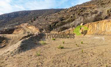 Parcela con electricidad instalada, hermosa vista, a 25 minutos de La Serena. $25 millones