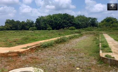 VENTA LOTES BETANIA RESIDENCIAL JAMUNDI