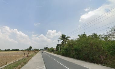 4.3 Hectares with Diverse Development Potential - Prime Agricultural Land Investment Opportunity in Carmen, Rosales, Pangasinan!
