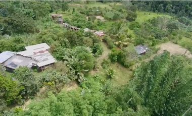 VENDO HERMOSA QUINTA 3.35 HECTAREAS