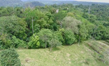 VENDO HERMOSA QUINTA 3.35 HECTAREAS