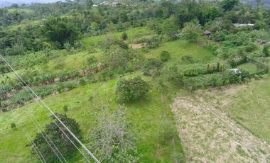 VENDO HERMOSA QUINTA 3.35 HECTAREAS