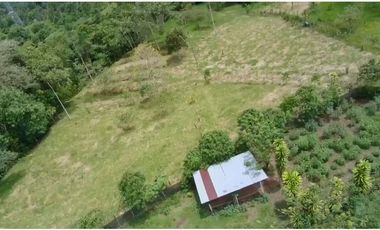 VENDO HERMOSA QUINTA 3.35 HECTAREAS
