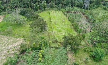 VENDO HERMOSA QUINTA 3.35 HECTAREAS