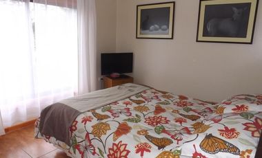 EN VENTA DOS AMPLIAS CASAS EN PARCELA A 5 MINUTOS  DE VILLARRICA