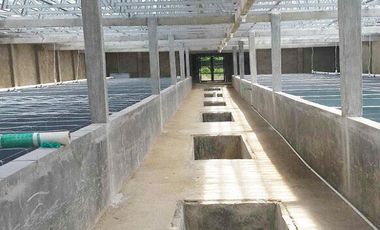 Dijual Tanah Kavling Tambak 4 Hektar di Anyer Carita Banten