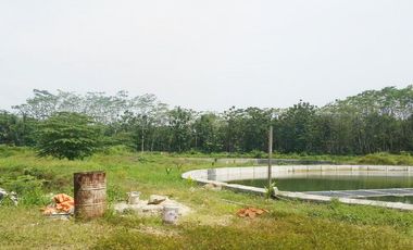 Dijual Tanah Kavling Tambak 4 Hektar di Anyer Carita Banten