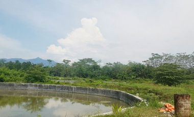 Dijual Tanah Kavling Tambak 4 Hektar di Anyer Carita Banten