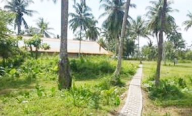 Dijual Tanah Kavling Tambak 4 Hektar di Anyer Carita Banten