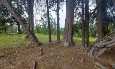 Terreno de venta en Cuenca via Monay Baguanchi con permiso de uso industrial