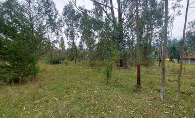 Terreno de venta en Cuenca via Monay Baguanchi con permiso de uso industrial