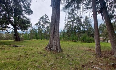 Terreno de venta en Cuenca via Monay Baguanchi con permiso de uso industrial