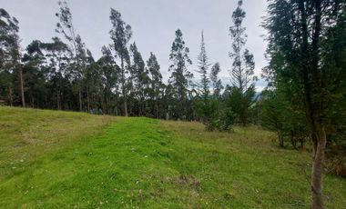 Terreno de venta en Cuenca via Monay Baguanchi con permiso de uso industrial