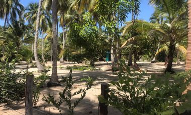 Lote de Playa en Venta 2.4 Hectáreas Parque Tayrona