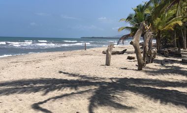 Lote de Playa en Venta 2.4 Hectáreas Parque Tayrona