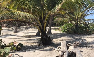 Lote de Playa en Venta 2.4 Hectáreas Parque Tayrona