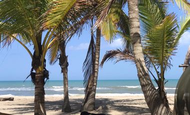 Lote de Playa en Venta 2.4 Hectáreas Parque Tayrona