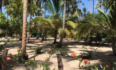 Lote de Playa en Venta 2.4 Hectáreas Parque Tayrona