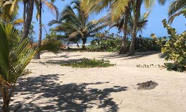 Lote de Playa en Venta 2.4 Hectáreas Parque Tayrona