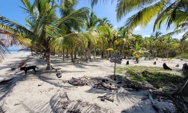 Lote de Playa en Venta 2.4 Hectáreas Parque Tayrona