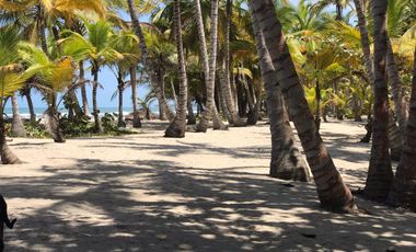 Lote de Playa en Venta 2.4 Hectáreas Parque Tayrona
