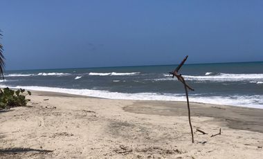 Lote de Playa en Venta 2.4 Hectáreas Parque Tayrona
