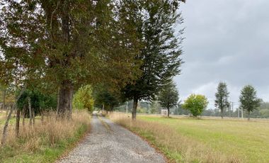 Z O N A S U R . C L TERRENOS EN VENTA VILLARRICA KM 9.5 CAMINO A LONCOCHE.