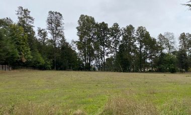 Z O N A S U R . C L TERRENOS EN VENTA VILLARRICA KM 9.5 CAMINO A LONCOCHE.