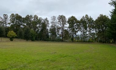 Z O N A S U R . C L TERRENOS EN VENTA VILLARRICA KM 9.5 CAMINO A LONCOCHE.