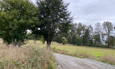 Z O N A S U R . C L TERRENOS EN VENTA VILLARRICA KM 9.5 CAMINO A LONCOCHE.