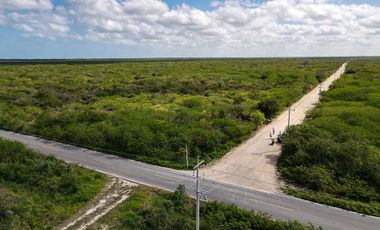 Terrenos de Inversión en Yucatán a 8min del mar.
