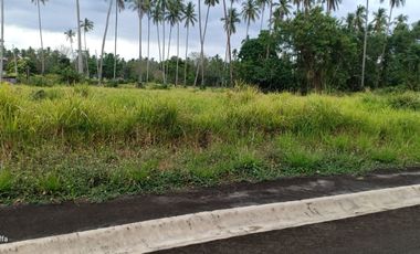 Residential Farm Lot for Sale in Tiaong Quezon
