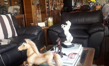 TERRENO CON CABALLERIZAS Y CABAÑA EN VENTA, SAN FRANCISCO TLALCILALCALPAN