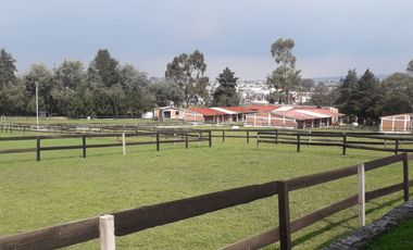 TERRENO CON CABALLERIZAS Y CABAÑA EN VENTA, SAN FRANCISCO TLALCILALCALPAN