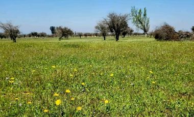 Ultimas parcelas disponibles 2h Santiago a Pasos de rapel.