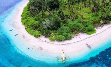 156 hectare Island for Sale with powdery white sand in the Philippines