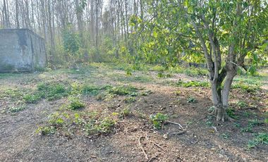 FINCA EN VENTA, MEMBRILLAL TURBACO BOLIVAR .