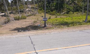 3,345 SQM LOT FOR SALE LOCATED IN BAN-BAN DIMIAO, BOHOL