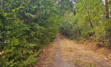 TERRENO LA JOYA, CEBADAS, MINERAL DEL CHICO