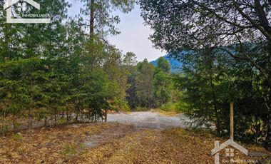 TERRENO LA JOYA, CEBADAS, MINERAL DEL CHICO