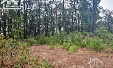 TERRENO LA JOYA, CEBADAS, MINERAL DEL CHICO