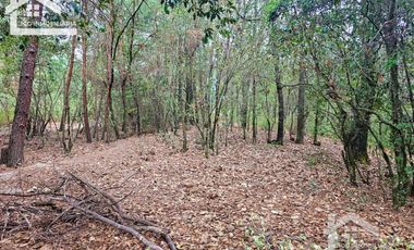 TERRENO LA JOYA, CEBADAS, MINERAL DEL CHICO