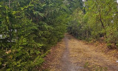 TERRENO LA JOYA, CEBADAS, MINERAL DEL CHICO