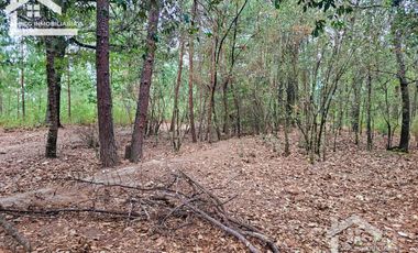TERRENO LA JOYA, CEBADAS, MINERAL DEL CHICO