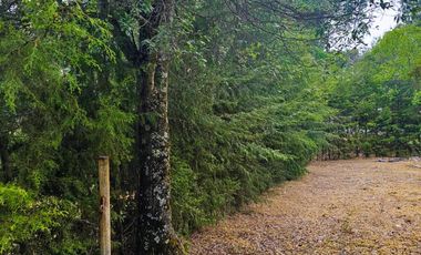 TERRENO LA JOYA, CEBADAS, MINERAL DEL CHICO