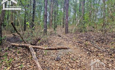 TERRENO LA JOYA, CEBADAS, MINERAL DEL CHICO